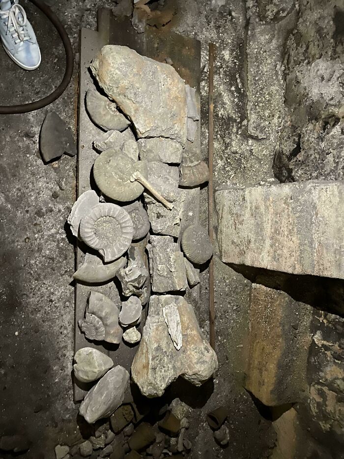 50 Photos Of Cool Things People Have Found Buried, Hidden, And Forgotten In Old Houses 50 Photos Of Cool Things People Have Found Buried, Hidden, And Forgotten In Old Houses