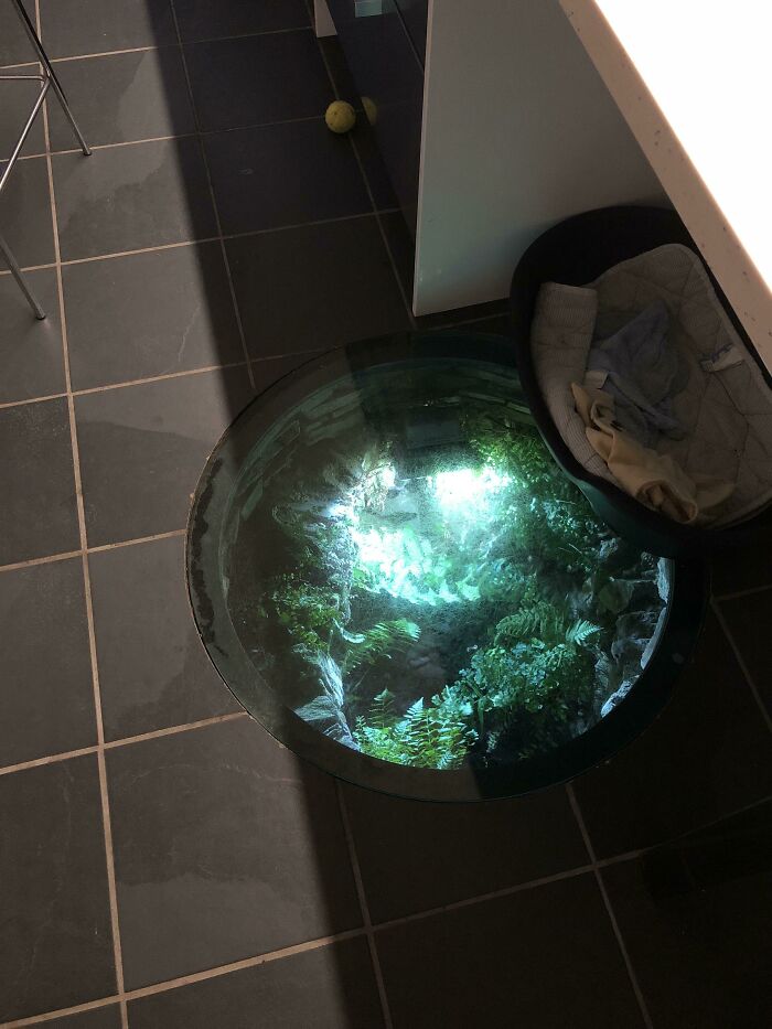 50 Photos Of Cool Things People Have Found Buried, Hidden, And Forgotten In Old Houses 50 Photos Of Cool Things People Have Found Buried, Hidden, And Forgotten In Old Houses