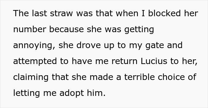 Woman Adopts Dog, Horrified After Being Harassed By Previous Owners For Name, Food And Vet Change Woman Adopts Dog, Horrified After Being Harassed By Previous Owners For Name, Food And Vet Change