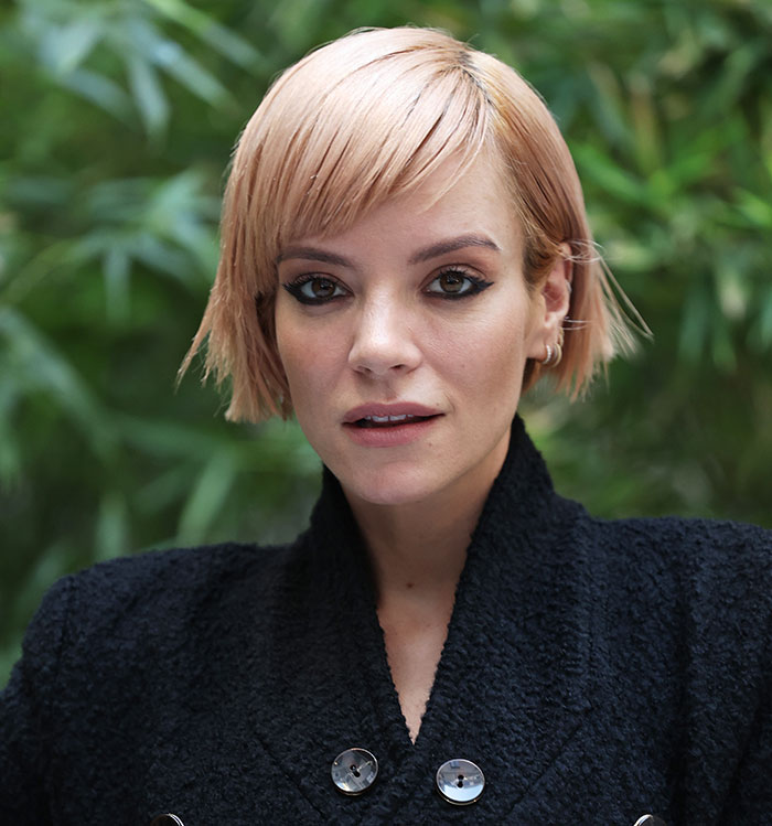 “She’s No Angel”: David Harbour’s Friend Claps Back At Lily Allen’s “Vile” Accusations “She’s No Angel”: David Harbour’s Friend Claps Back At Lily Allen’s “Vile” Accusations