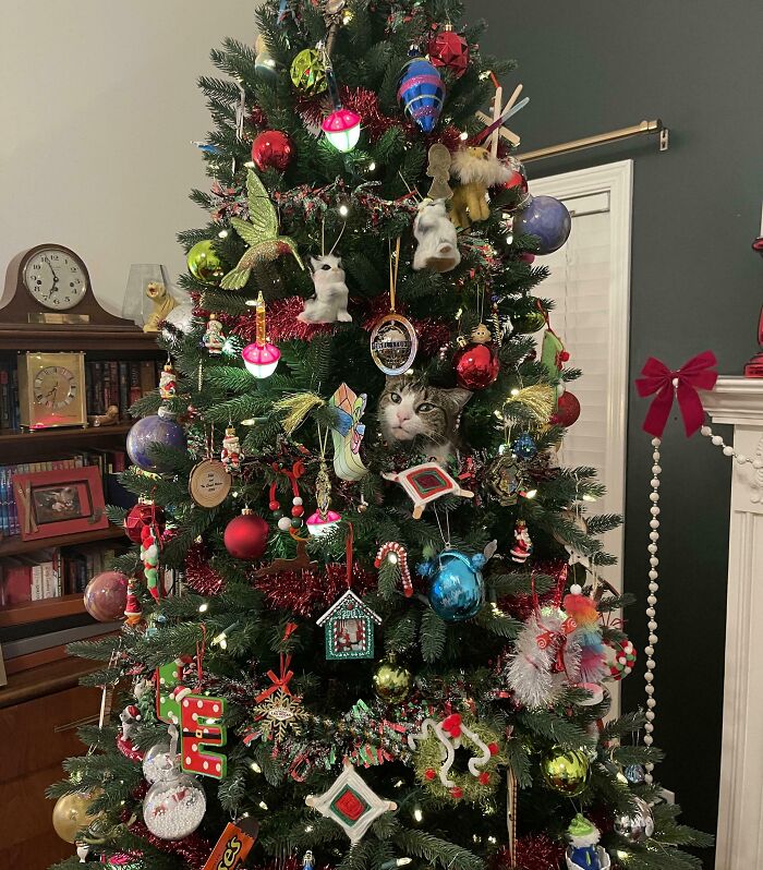 40 Pictures That Makes You Question Who Camouflages Better: Cats Or Chameleons 40 Pictures That Makes You Question Who Camouflages Better: Cats Or Chameleons