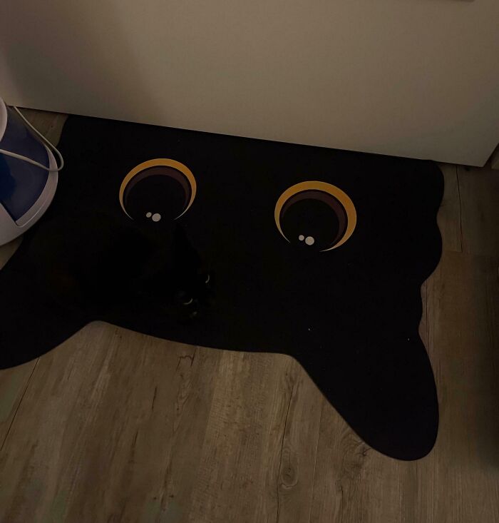 40 Pictures That Makes You Question Who Camouflages Better: Cats Or Chameleons 40 Pictures That Makes You Question Who Camouflages Better: Cats Or Chameleons