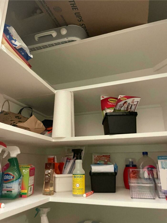 40 Pictures That Makes You Question Who Camouflages Better: Cats Or Chameleons 40 Pictures That Makes You Question Who Camouflages Better: Cats Or Chameleons