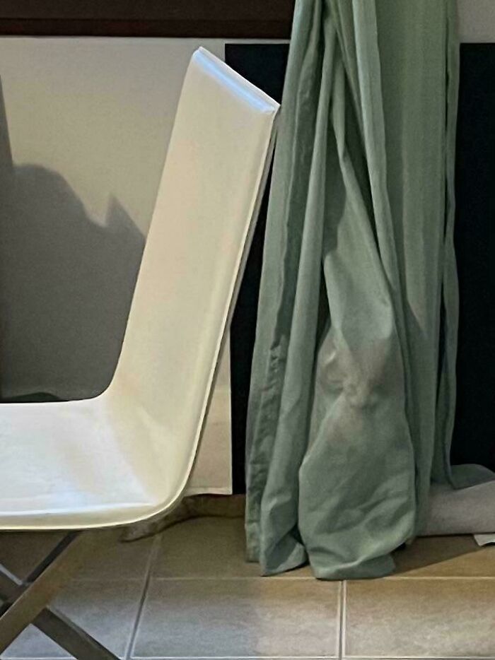 40 Pictures That Makes You Question Who Camouflages Better: Cats Or Chameleons 40 Pictures That Makes You Question Who Camouflages Better: Cats Or Chameleons