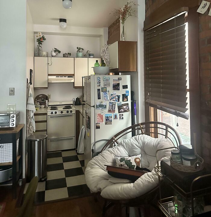 40 Pictures That Makes You Question Who Camouflages Better: Cats Or Chameleons 40 Pictures That Makes You Question Who Camouflages Better: Cats Or Chameleons