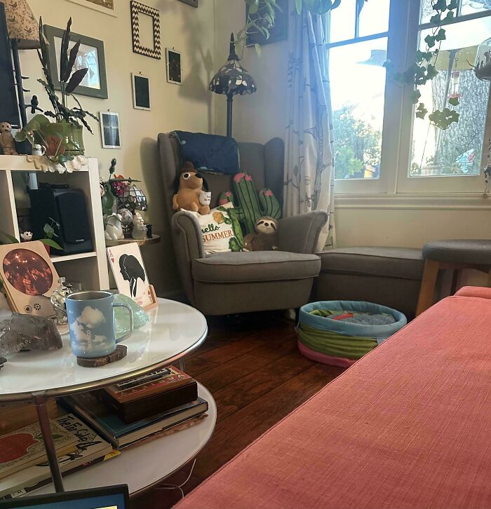 40 Pictures That Makes You Question Who Camouflages Better: Cats Or Chameleons 40 Pictures That Makes You Question Who Camouflages Better: Cats Or Chameleons