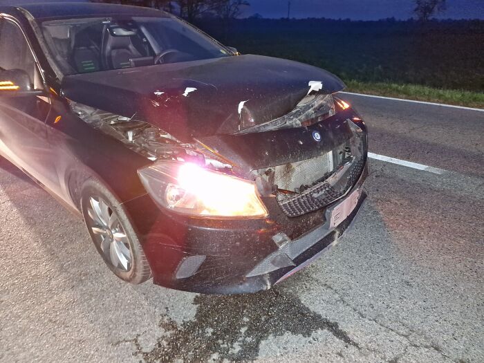 After A Car Accident, Our Family Is Trying To Rebuild After A Car Accident, Our Family Is Trying To Rebuild