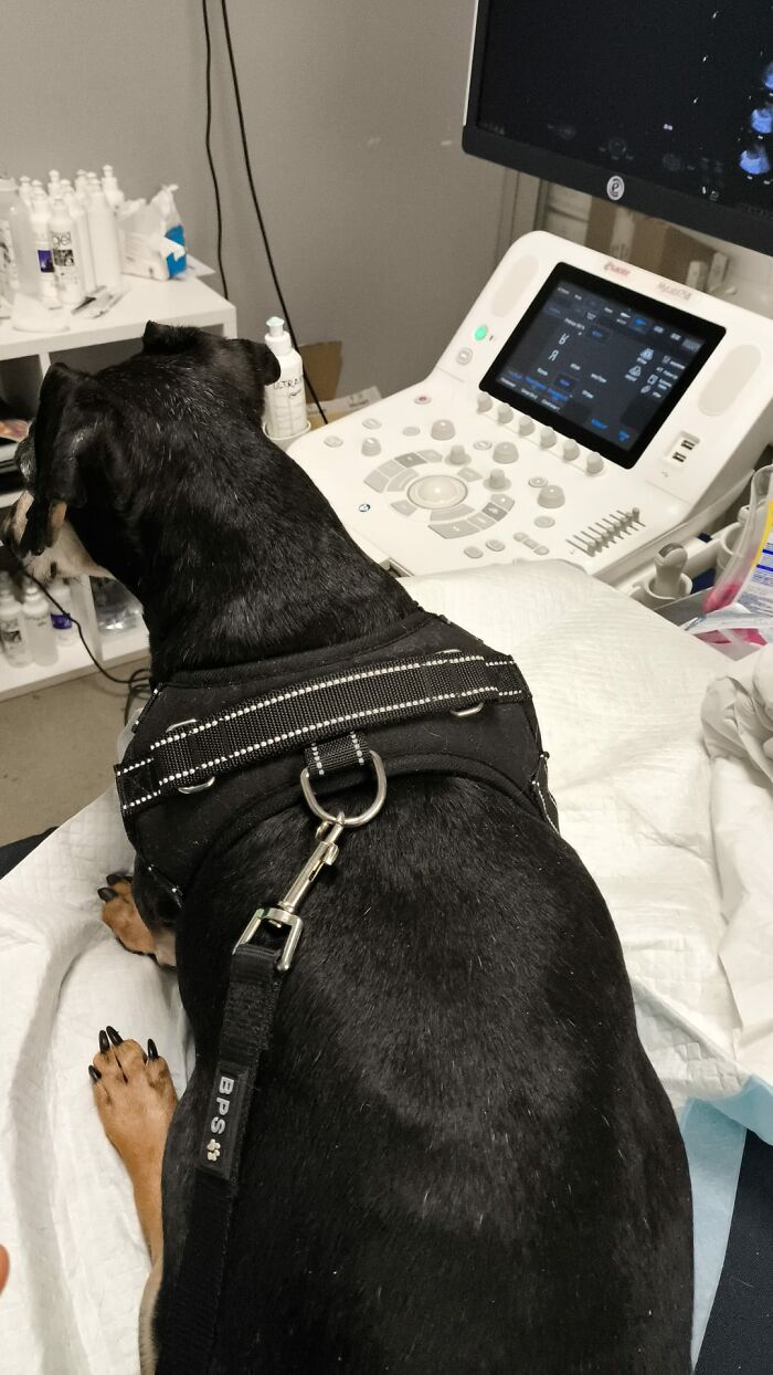 After A Car Accident, Our Family Is Trying To Rebuild After A Car Accident, Our Family Is Trying To Rebuild