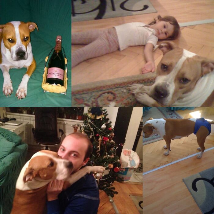 Everything I Know About Love, I Learned From My Dog (35 Pics) Everything I Know About Love, I Learned From My Dog (35 Pics)