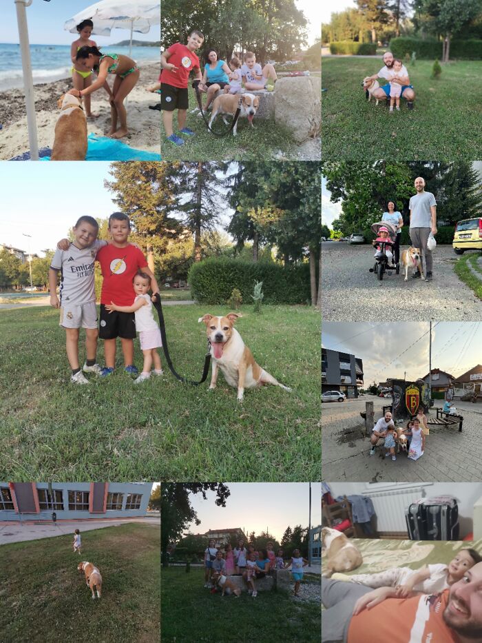 Everything I Know About Love, I Learned From My Dog (35 Pics) Everything I Know About Love, I Learned From My Dog (35 Pics)