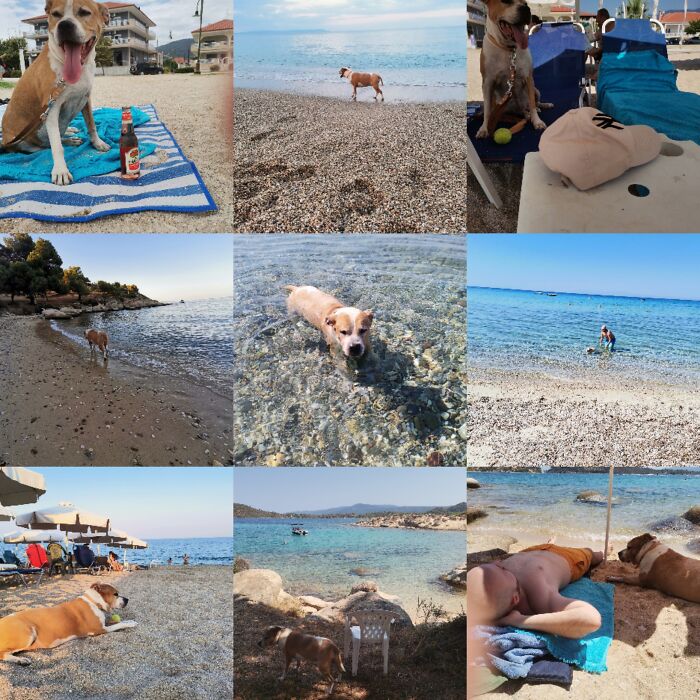 Everything I Know About Love, I Learned From My Dog (35 Pics) Everything I Know About Love, I Learned From My Dog (35 Pics)