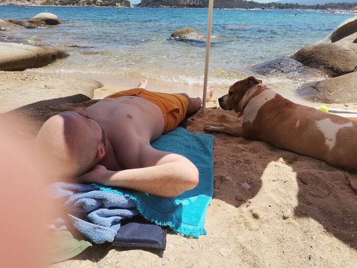 Everything I Know About Love, I Learned From My Dog (35 Pics) Everything I Know About Love, I Learned From My Dog (35 Pics)