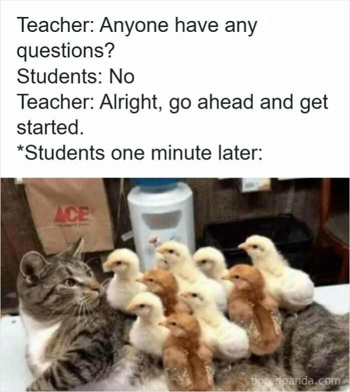 116 Funny Memes For Teachers Who Deserve A Raise And A Nap 116 Funny Memes For Teachers Who Deserve A Raise And A Nap