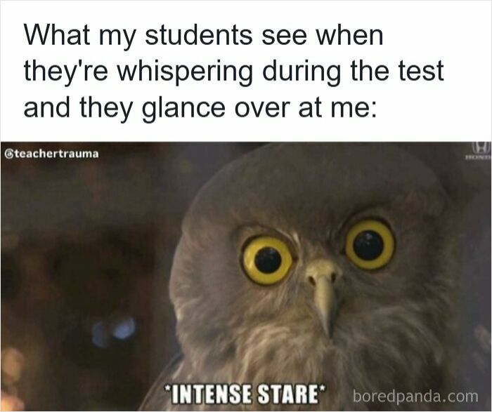 116 Funny Memes For Teachers Who Deserve A Raise And A Nap 116 Funny Memes For Teachers Who Deserve A Raise And A Nap