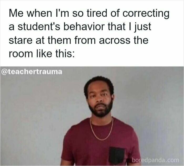 116 Funny Memes For Teachers Who Deserve A Raise And A Nap 116 Funny Memes For Teachers Who Deserve A Raise And A Nap