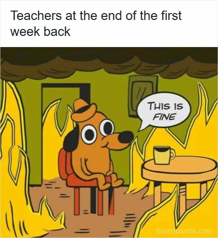 116 Funny Memes For Teachers Who Deserve A Raise And A Nap 116 Funny Memes For Teachers Who Deserve A Raise And A Nap