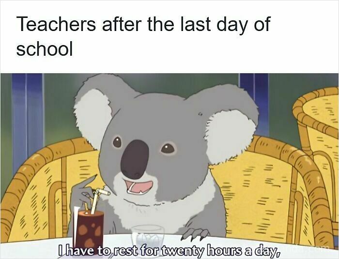 116 Funny Memes For Teachers Who Deserve A Raise And A Nap 116 Funny Memes For Teachers Who Deserve A Raise And A Nap