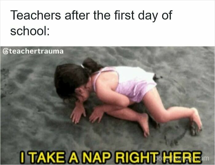 116 Funny Memes For Teachers Who Deserve A Raise And A Nap 116 Funny Memes For Teachers Who Deserve A Raise And A Nap