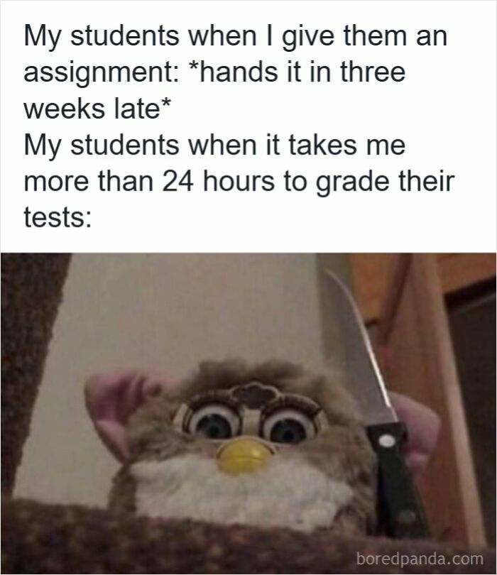 116 Funny Memes For Teachers Who Deserve A Raise And A Nap 116 Funny Memes For Teachers Who Deserve A Raise And A Nap