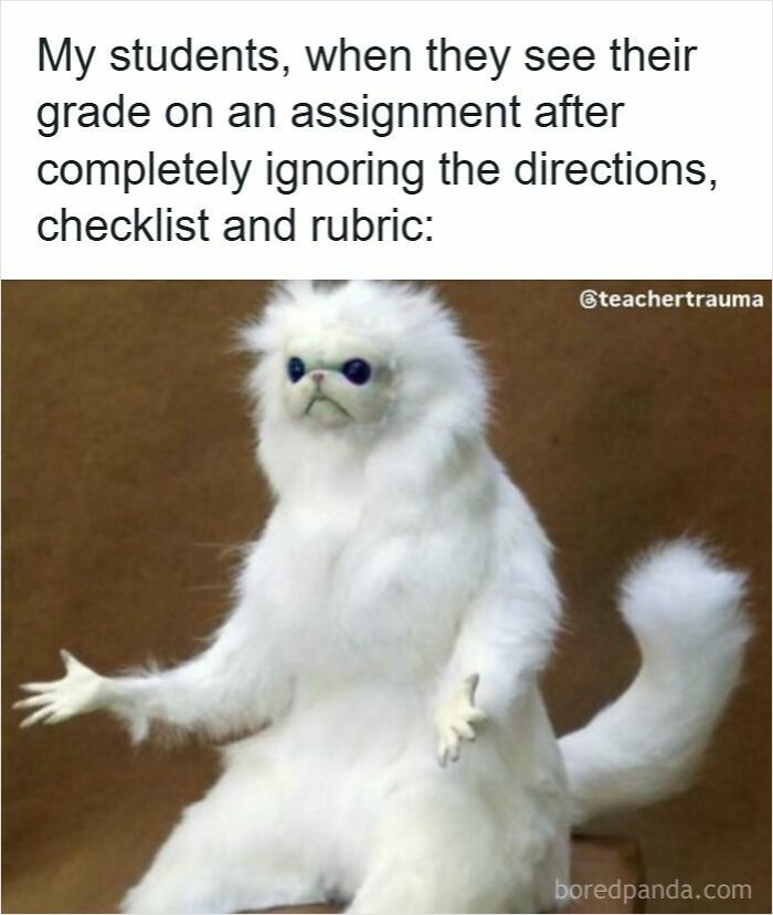 116 Funny Memes For Teachers Who Deserve A Raise And A Nap 116 Funny Memes For Teachers Who Deserve A Raise And A Nap