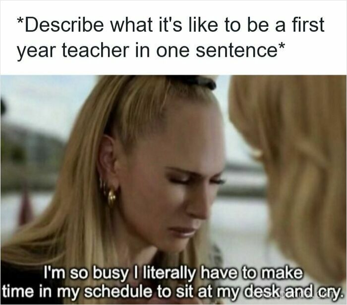 116 Funny Memes For Teachers Who Deserve A Raise And A Nap 116 Funny Memes For Teachers Who Deserve A Raise And A Nap