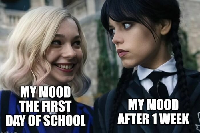 116 Funny Memes For Teachers Who Deserve A Raise And A Nap 116 Funny Memes For Teachers Who Deserve A Raise And A Nap