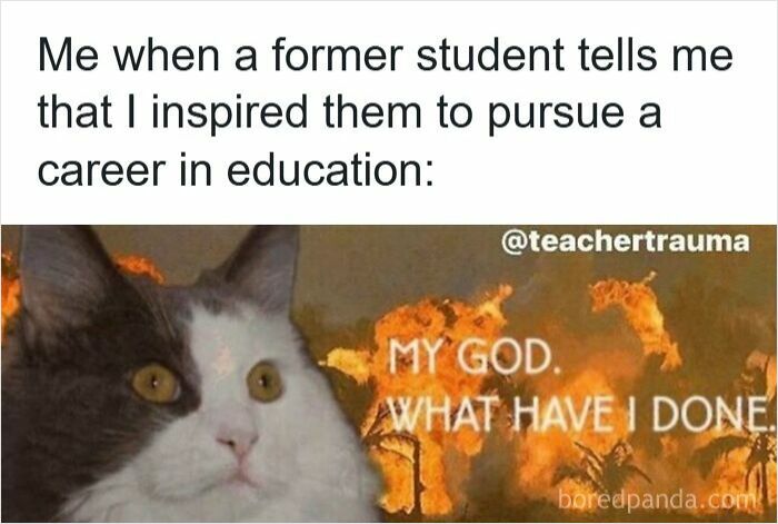 116 Funny Memes For Teachers Who Deserve A Raise And A Nap 116 Funny Memes For Teachers Who Deserve A Raise And A Nap