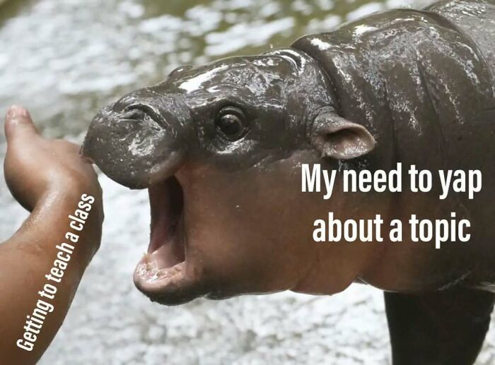 116 Funny Memes For Teachers Who Deserve A Raise And A Nap 116 Funny Memes For Teachers Who Deserve A Raise And A Nap