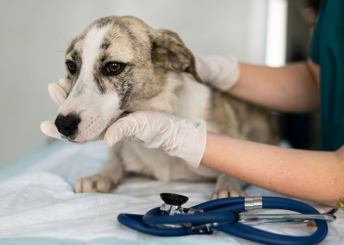 “All I Want For Christmas Is A Divorce”: 90 Times People Were Miserable On Thanksgiving “All I Want For Christmas Is A Divorce”: 90 Times People Were Miserable On Thanksgiving