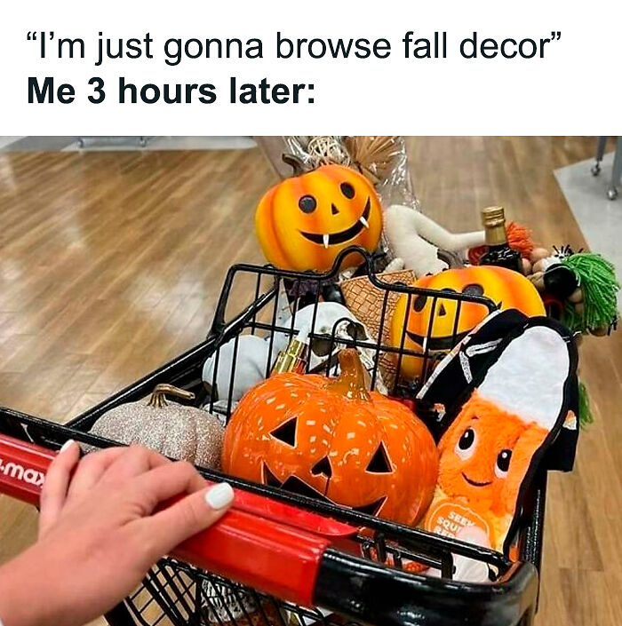 83 Hilarious And Relatable Memes For The Horror And Halloween Fans 83 Hilarious And Relatable Memes For The Horror And Halloween Fans