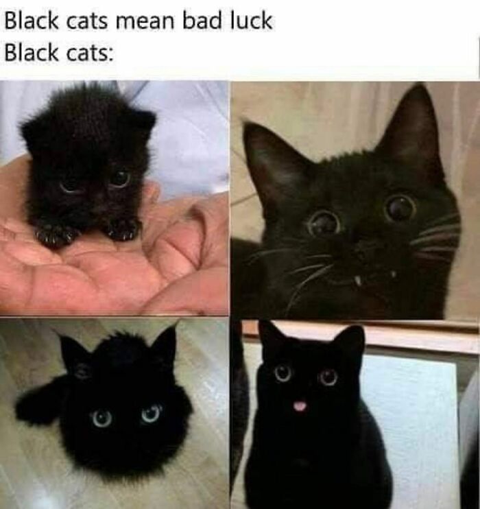 83 Hilarious And Relatable Memes For The Horror And Halloween Fans 83 Hilarious And Relatable Memes For The Horror And Halloween Fans