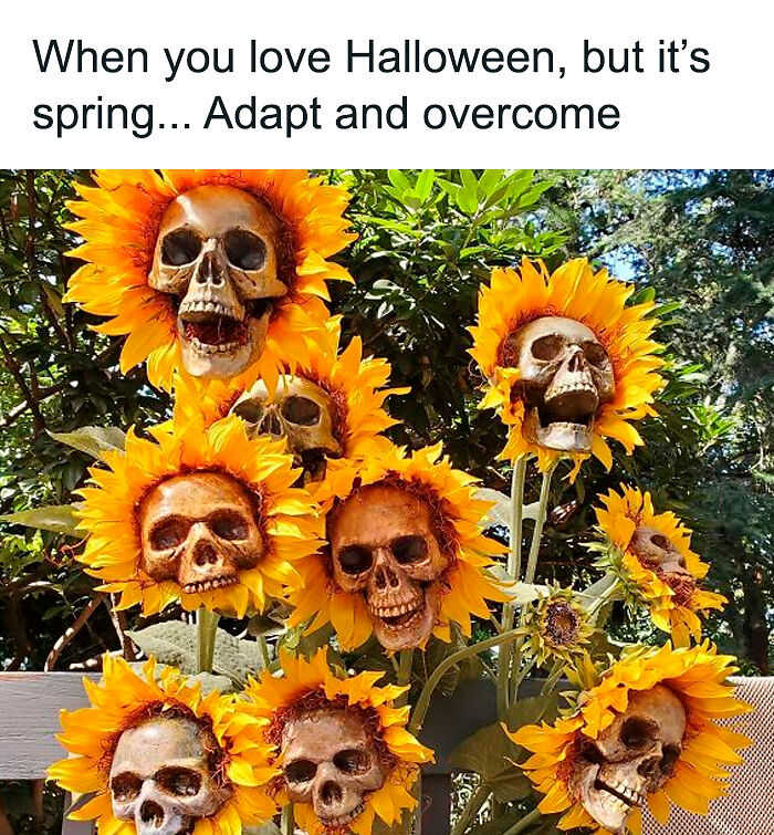 83 Hilarious And Relatable Memes For The Horror And Halloween Fans 83 Hilarious And Relatable Memes For The Horror And Halloween Fans