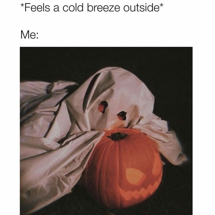 83 Hilarious And Relatable Memes For The Horror And Halloween Fans 83 Hilarious And Relatable Memes For The Horror And Halloween Fans