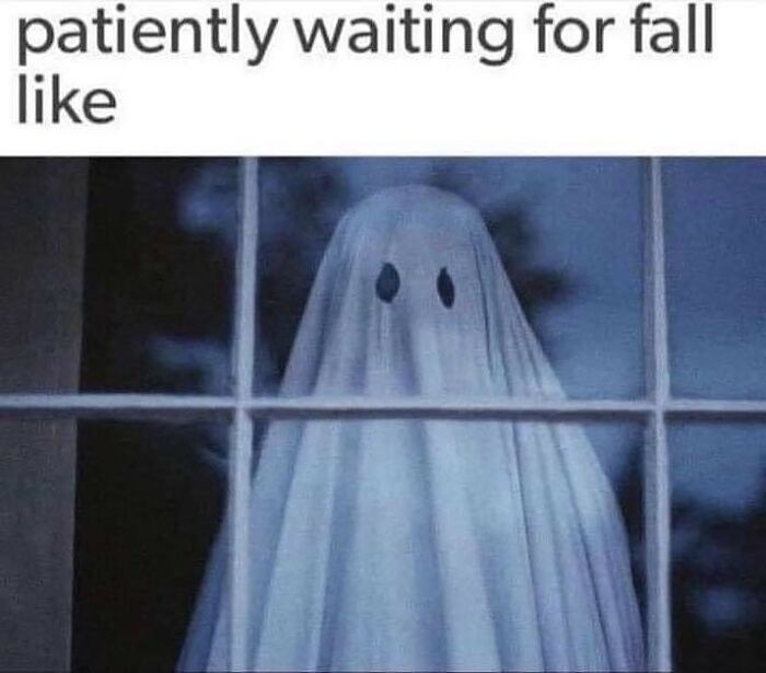 83 Hilarious And Relatable Memes For The Horror And Halloween Fans 83 Hilarious And Relatable Memes For The Horror And Halloween Fans