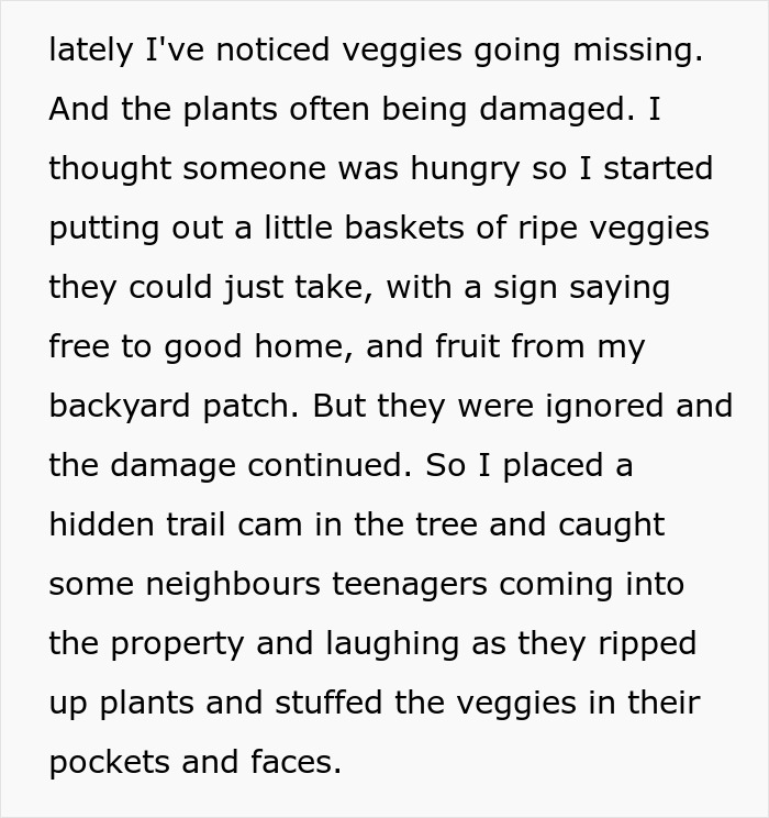 Woman Torn Between Laughter And Guilt After Her Hot Revenge On Neighborhood Kids Works Like Magic