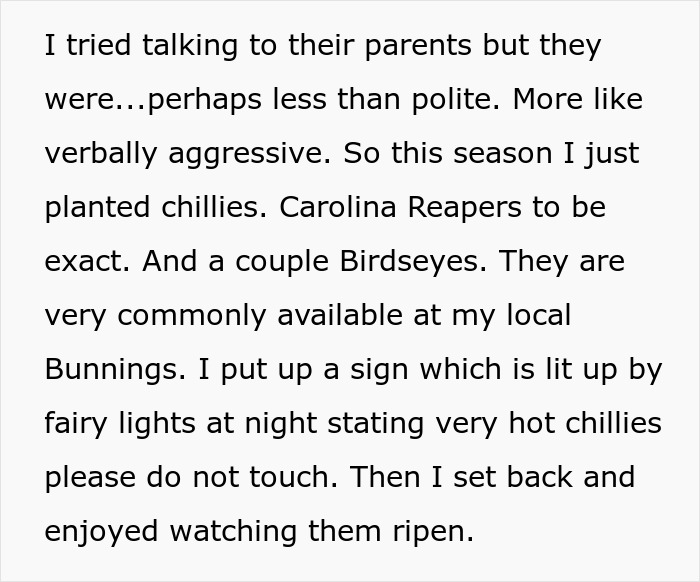 Woman Torn Between Laughter And Guilt After Her Hot Revenge On Neighborhood Kids Works Like Magic