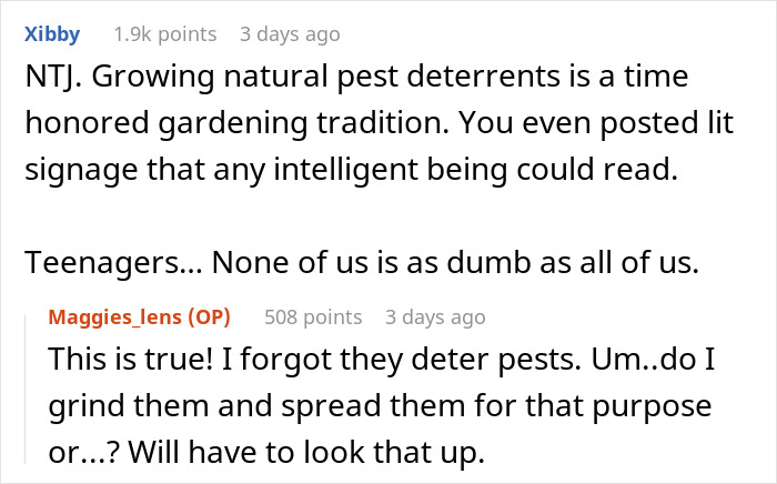 Woman Torn Between Laughter And Guilt After Her Hot Revenge On Neighborhood Kids Works Like Magic