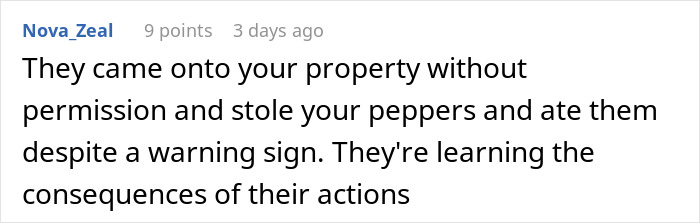 Woman Torn Between Laughter And Guilt After Her Hot Revenge On Neighborhood Kids Works Like Magic