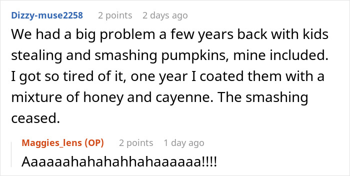 Woman Torn Between Laughter And Guilt After Her Hot Revenge On Neighborhood Kids Works Like Magic