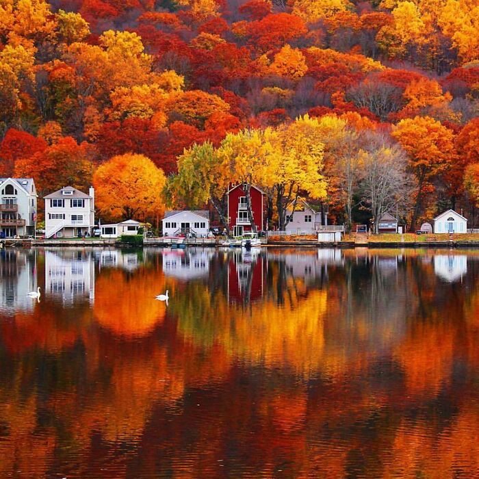 52 Captivating Photos Of Autumn Leaf Colors And Fall Foliage From Around The World 52 Captivating Photos Of Autumn Leaf Colors And Fall Foliage From Around The World
