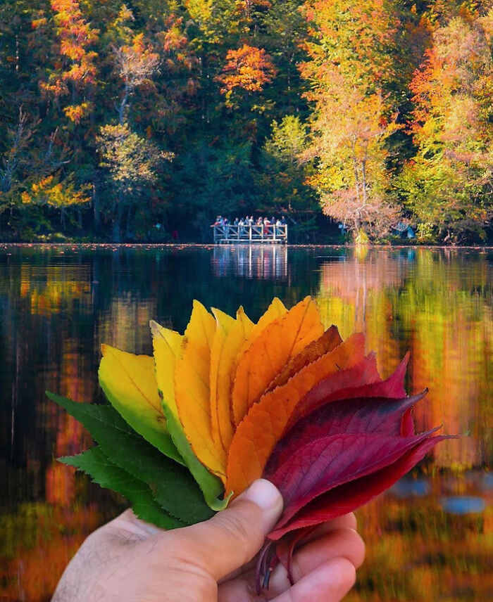 52 Captivating Photos Of Autumn Leaf Colors And Fall Foliage From Around The World 52 Captivating Photos Of Autumn Leaf Colors And Fall Foliage From Around The World