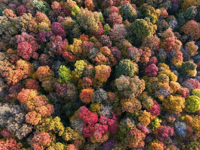 52 Captivating Photos Of Autumn Leaf Colors And Fall Foliage From Around The World 52 Captivating Photos Of Autumn Leaf Colors And Fall Foliage From Around The World