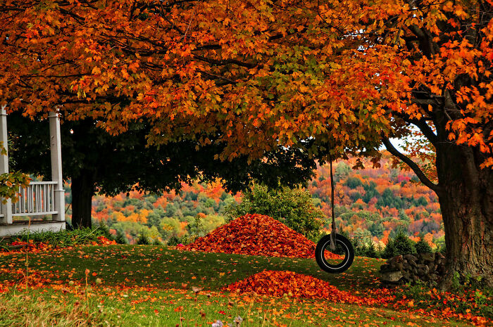 52 Captivating Photos Of Autumn Leaf Colors And Fall Foliage From Around The World 52 Captivating Photos Of Autumn Leaf Colors And Fall Foliage From Around The World
