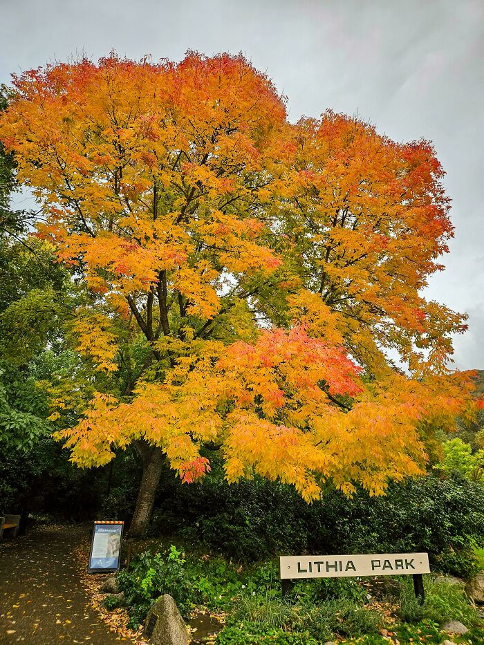 52 Captivating Photos Of Autumn Leaf Colors And Fall Foliage From Around The World 52 Captivating Photos Of Autumn Leaf Colors And Fall Foliage From Around The World
