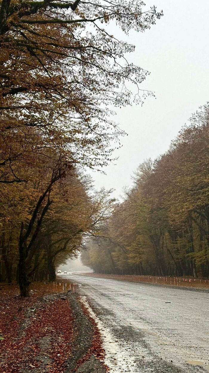 52 Captivating Photos Of Autumn Leaf Colors And Fall Foliage From Around The World 52 Captivating Photos Of Autumn Leaf Colors And Fall Foliage From Around The World