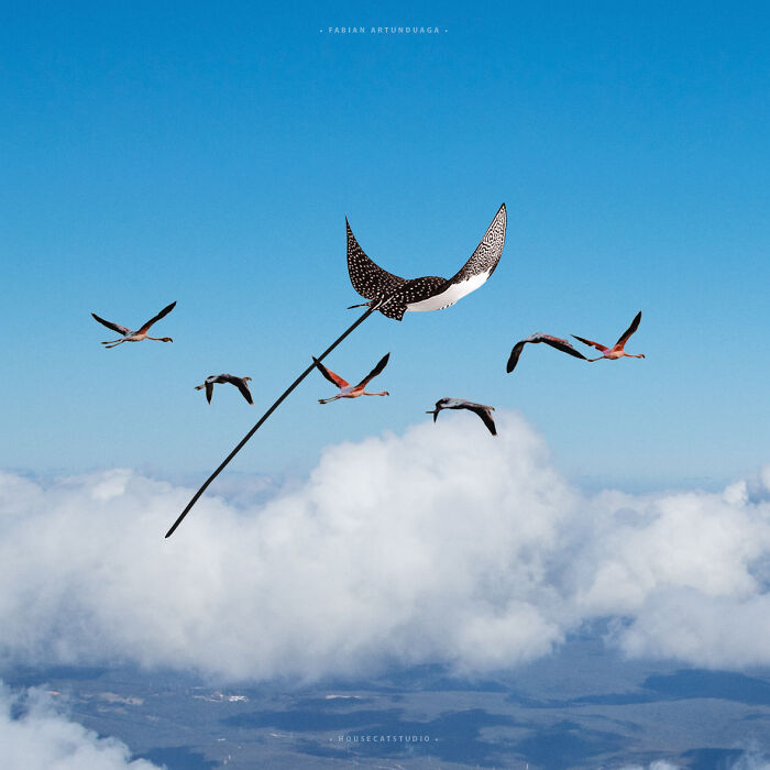 I Combine People And Nature To Tell Stories Of Harmony And Contrast (28 Pics) I Combine People And Nature To Tell Stories Of Harmony And Contrast (28 Pics)