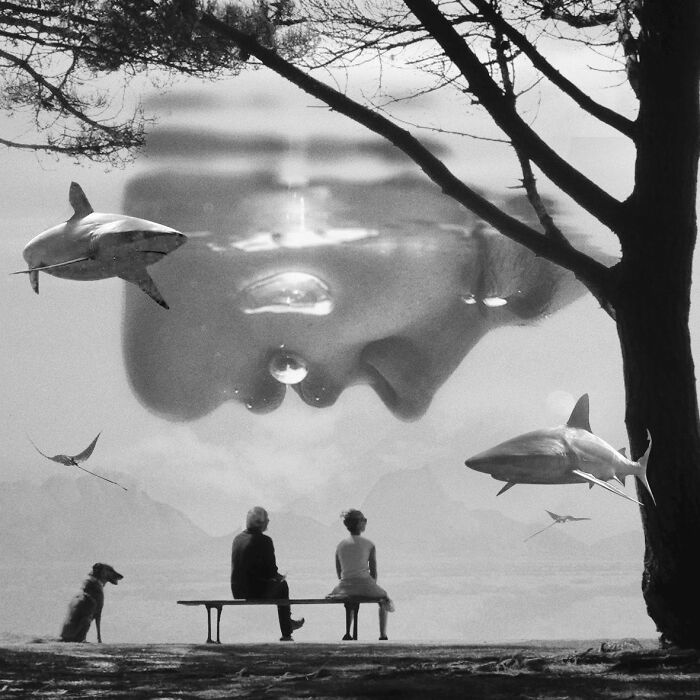 I Combine People And Nature To Tell Stories Of Harmony And Contrast (28 Pics) I Combine People And Nature To Tell Stories Of Harmony And Contrast (28 Pics)