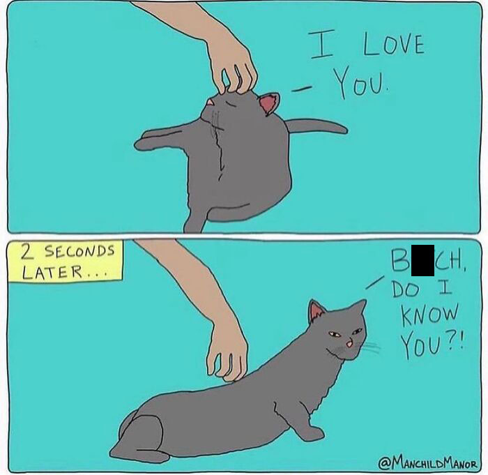 50 Relatable Comics About Life’s Little Absurdities 50 Relatable Comics About Life’s Little Absurdities