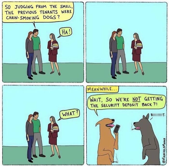 50 Relatable Comics About Life’s Little Absurdities 50 Relatable Comics About Life’s Little Absurdities