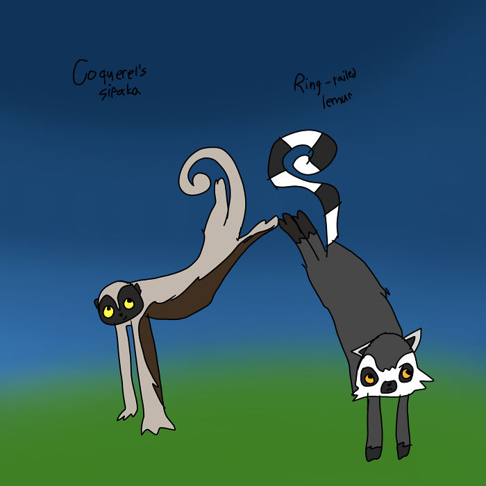 Drawing Improvements (31 Pics) Drawing Improvements (31 Pics)